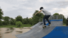 Skateboard Skateboard Fail GIF - Skateboard Skateboard Fail Fail GIFs