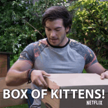 box of kittens opening box kittens pet gift