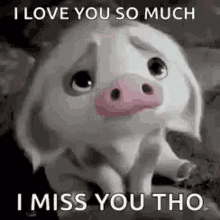 I Love You So Much I Miss You GIF - I Love You So Much I Miss You Pig GIFs