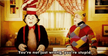 Cat And The Hat Wrong GIF - Cat And The Hat Wrong Stupid GIFs