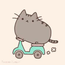 pusheen on my way scooter riding here i come