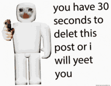 You Have30seconds To Delete This Post Or I Will Yeet You GIF - You Have30seconds To Delete This Post Or I Will Yeet You Cat GIFs