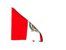 Peru Flag GIF - Peru GIFs