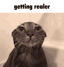 Getting Realer Get Real GIF - Getting Realer Get Real Ifunny GIFs