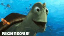 Righteous Nemo GIF - Righteous Nemo Crush GIFs