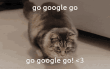 Google Moment Go Google Go GIF - Google Moment Go Google Go GIFs