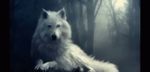 Howling Wolf
