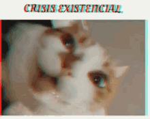 crisis existential shockeado shock cats crisis existential shockeado shock cats