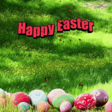 easter bunny easter bunny happy easter easter eggs easter bunny easter bunny happy easter easter eggs