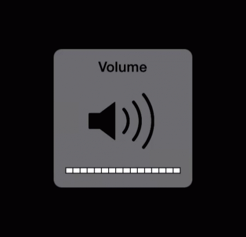 Turn Down Volume Mute GIF - Turn Down Volume Mute Volume GIFs