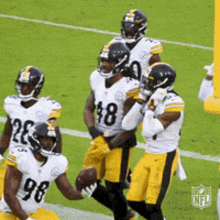 Steelers Pittsburgh GIF - Steelers Pittsburgh Nation GIFs