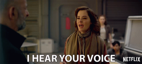 Voice parking