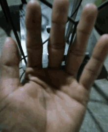 My Fingers GIF - My Fingers GIFs