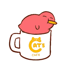 catscafe coffee