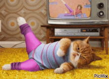 Work Out GIF - Work Out Workout GIFs