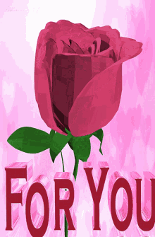 Flower For You GIF - Flower For You Rose Flower GIFs