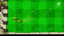 Logic Thrown Out Of The Window Melon Pult GIF - Logic Thrown Out Of The Window Melon Pult GIFs
