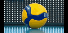 siatk%C3%B3wka volley volleyball pallavollo plusliga siatk%C3%B3wka volley volleyball pallavollo plusliga