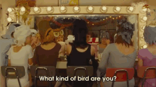 No. What Kind Of Bird Are You. GIF - Moonrise Kingdom Sam GIFs