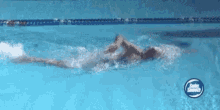 Swimming Freestyle Swimming GIF - Swimming Freestyle Swimming GIFs