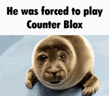 counter blox csgo cbro roblox roblox memes