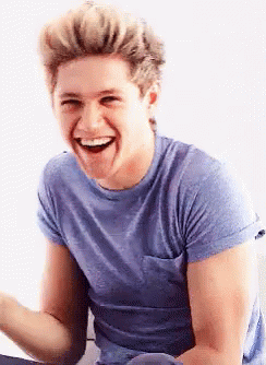 Niall Horan One Direction GIF - Niall Horan One Direction Smile GIFs