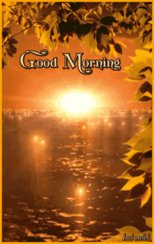 Good Morning Sun GIF - Good Morning Sun Sunlight GIFs