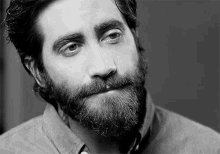 Jake Gyllenhaal Beard GIF - Jake Gyllenhaal Beard GIFs