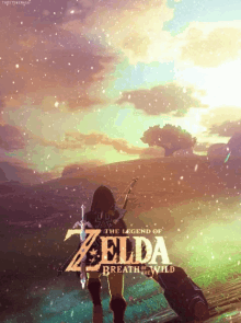 Legend Of Zelda Breath Of The Wild GIF - Legend Of Zelda Breath Of The Wild Game GIFs