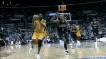 kobe bryant dunking on someones head dunk basketball shoot