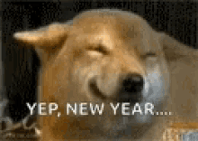 Happy2019 Dog GIF - Happy2019 Dog Smile GIFs