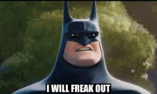 Freak Out Batman GIF - Freak Out Batman Funny Batman GIFs