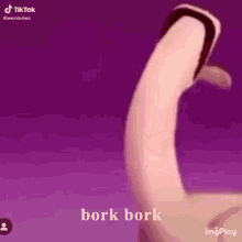Bork Dog GIF - Bork Dog GIFs