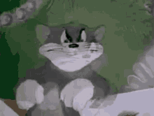 https://c.tenor.com/zarq0spT_k8AAAAM/tom-and-jerry-angry.gif