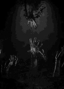 Zombie Horror GIF - Zombie Horror Scary GIFs