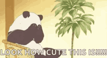 No Panda GIF - No Panda Anime GIFs