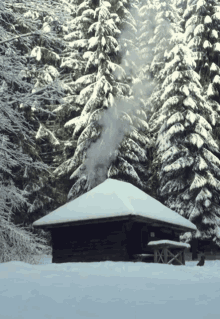 Nature Cabin GIF - Nature Cabin Winter GIFs