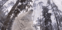 ahoho mahikan howl white wolf ahoho mahikan howl white wolf