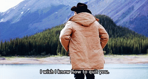 brokeback-mountain-knew-how-to-quit-you.gif