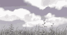 aesthetic anime nature grass clouds