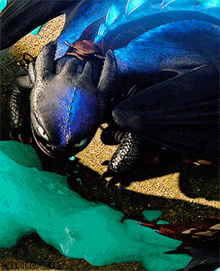 httyd alpha toothless dragons how to train your dragon
