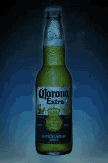 Beer Alcohol GIF - Beer Alcohol Beerski GIFs