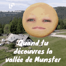 Découverte Munster GIF - Découverte Munster Vallée De Munster GIFs