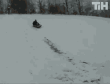 sled toboggan sleigh slip snow