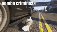 Criminoso Pomba Gta Roubandocarro GIF - Criminal Pigeon Gta GIFs