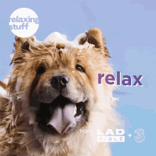 Relaxingstuff Threeuk GIF - Relaxingstuff Threeuk Ladbible GIFs
