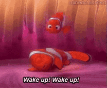 Good Morning Nemo GIF - Good Morning Nemo Marlin GIFs
