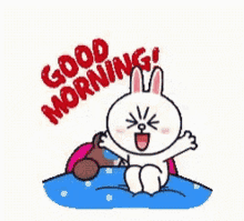 Good Morning Bunny GIF - Good Morning Bunny Bear GIFs