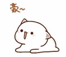 cat cute