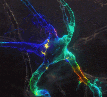 Synapse Electrical GIF - Synapse Electrical Neuron GIFs